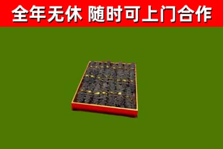 台山市回收海参